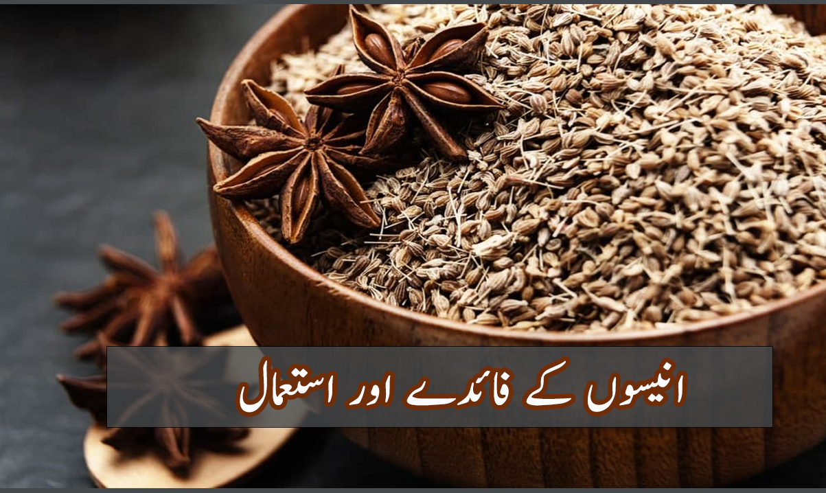 Amazing Benefits and Uses of Anise